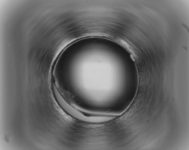 X0000091181140200708161513