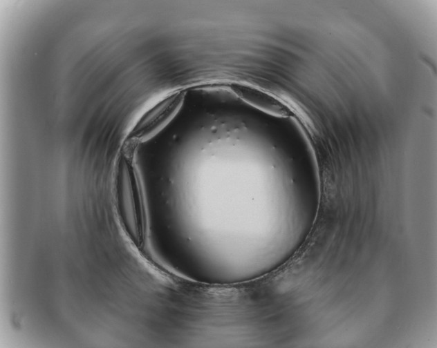 X0000091181142200708161513