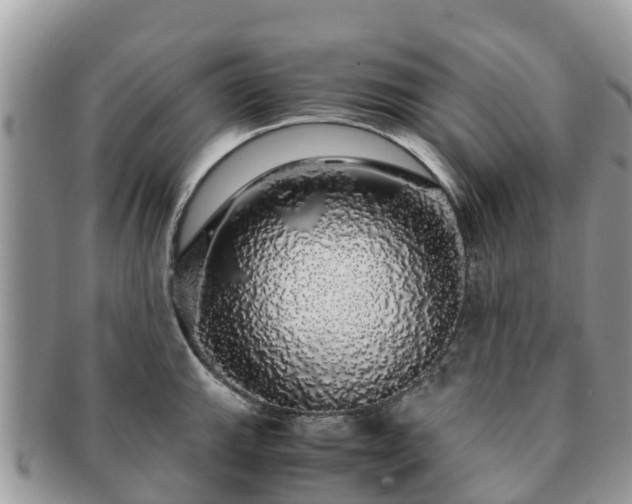 X0000091181143200708161513