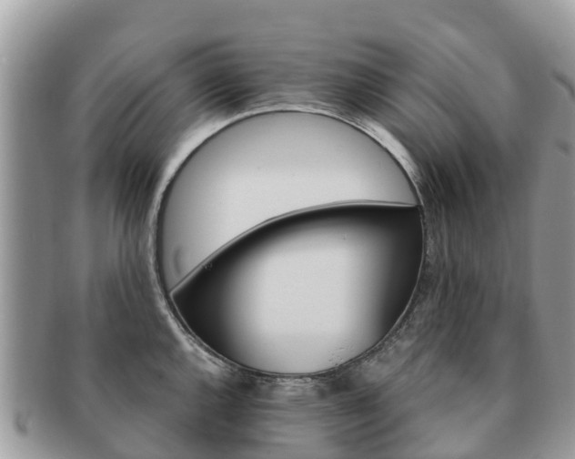 X0000091181144200708161513
