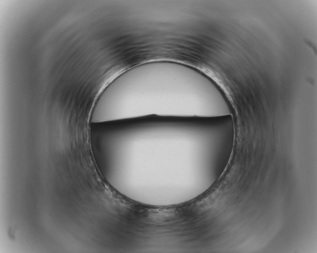 X0000091181145200708161513