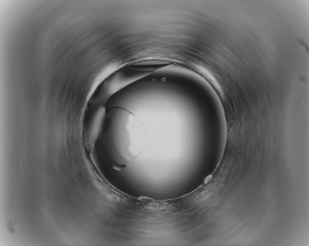 X0000091181146200708161513