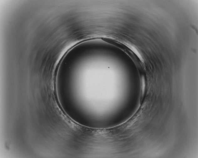 X0000091181148200708161513