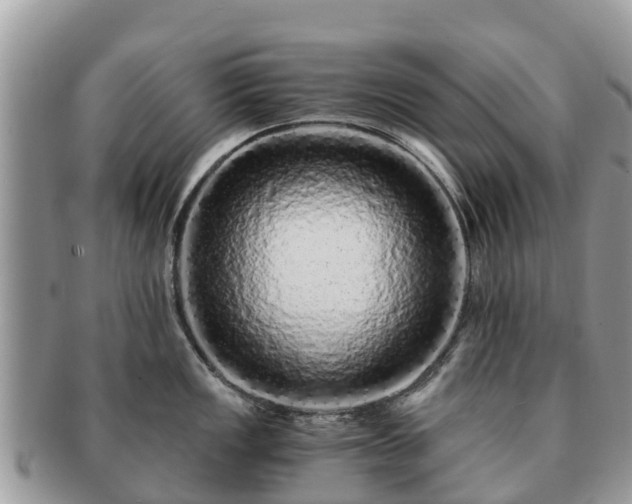 X0000091181149200708161513