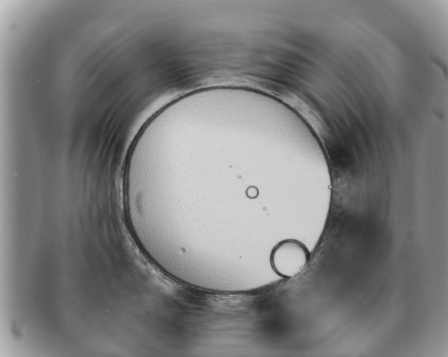 X0000091181150200708161513