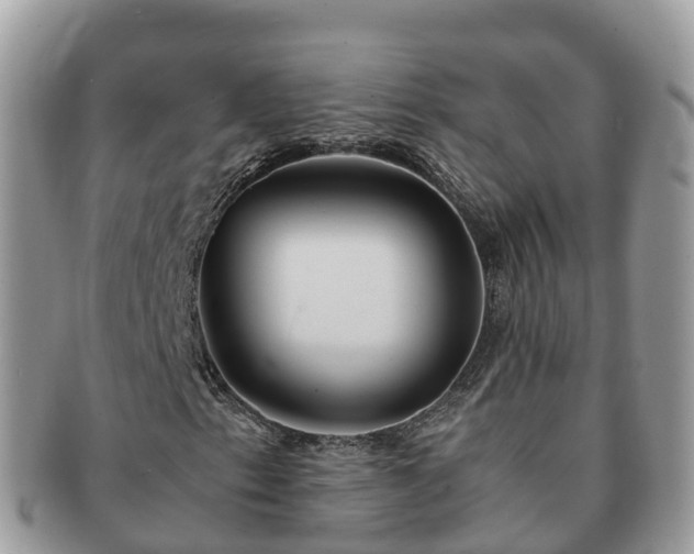 X0000091181153200708161512
