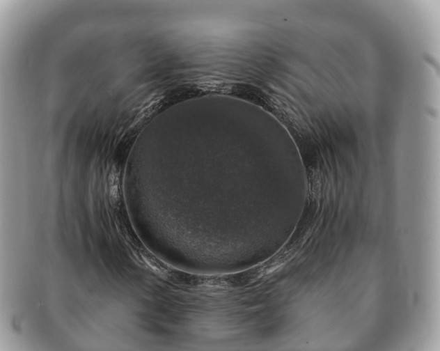 X0000091181154200708161512