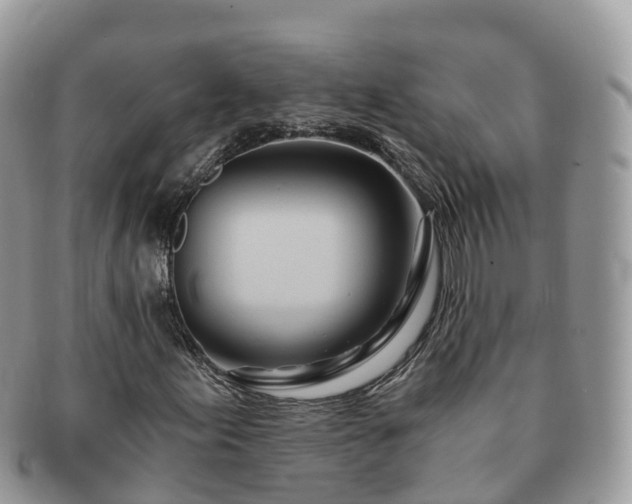 X0000091181155200708161512