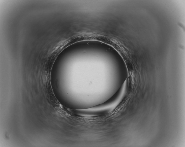 X0000091181157200708161512