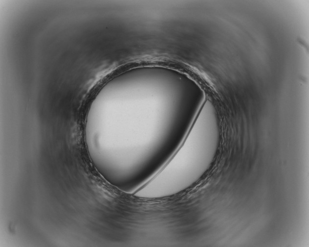 X0000091181160200708161512