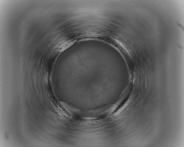 X0000091181161200708161512