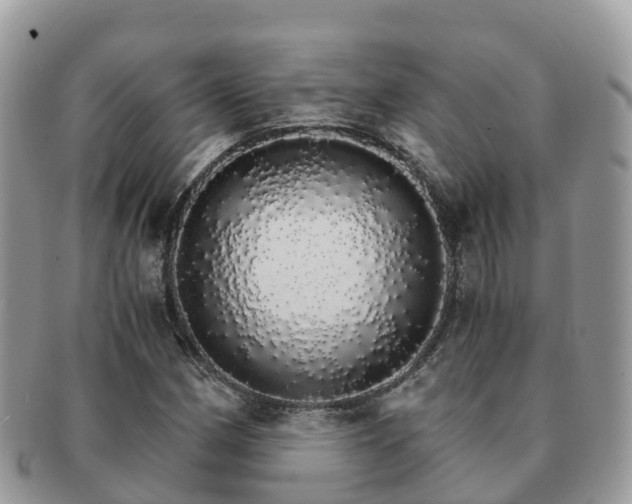 X0000091181162200708161512