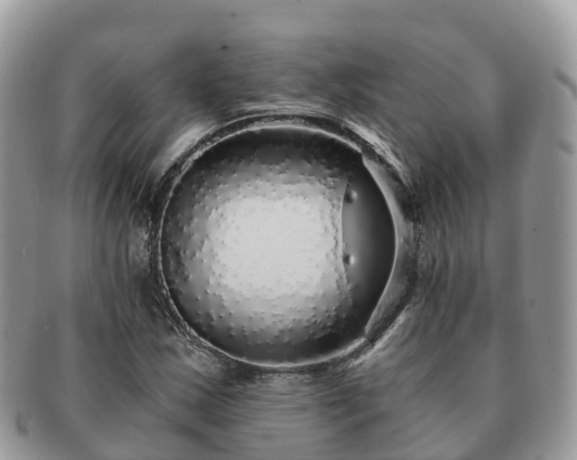 X0000091181163200708161512