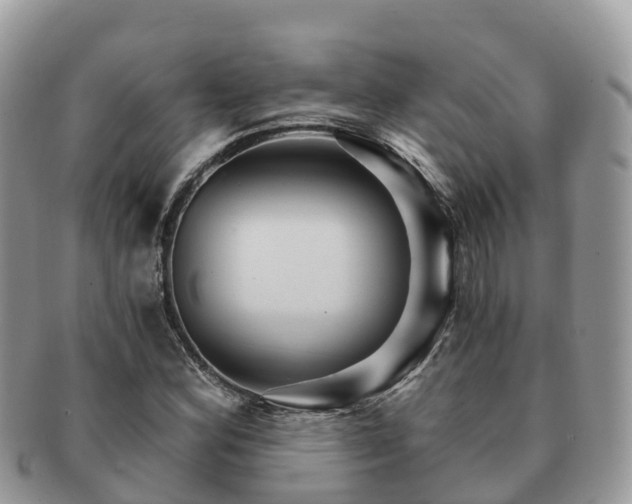 X0000091181164200708161512