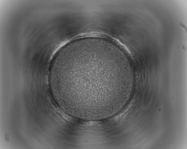 X0000091181166200708161512