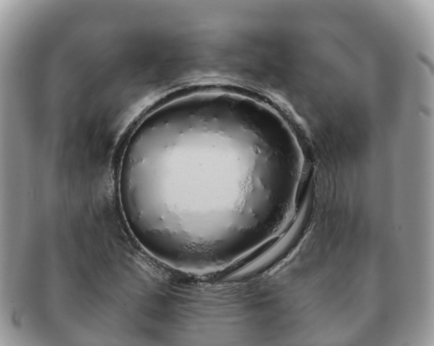X0000091181167200708161512