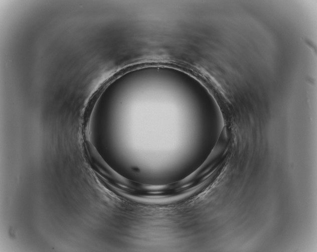 X0000091181168200708161512