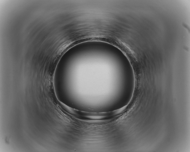 X0000091181169200708161512