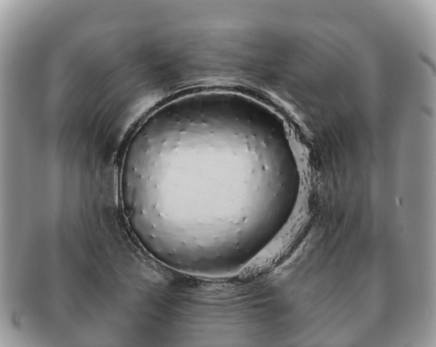 X0000091181171200708161512