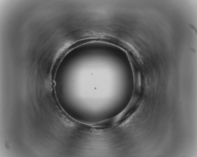 X0000091181172200708161512