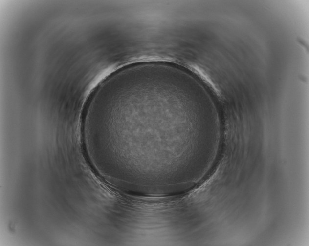 X0000091181173200708161512