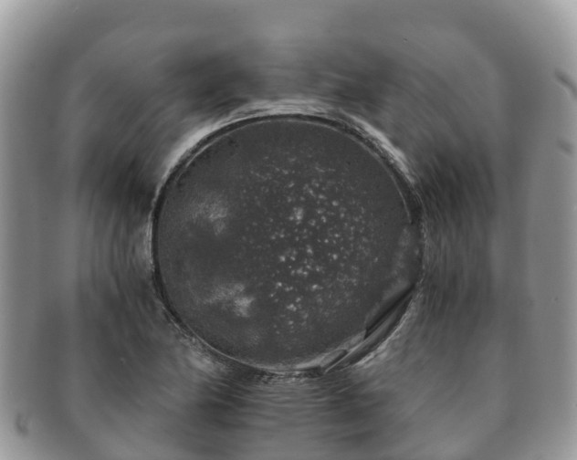 X0000091181174200708161512