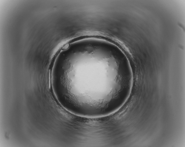 X0000091181175200708161512