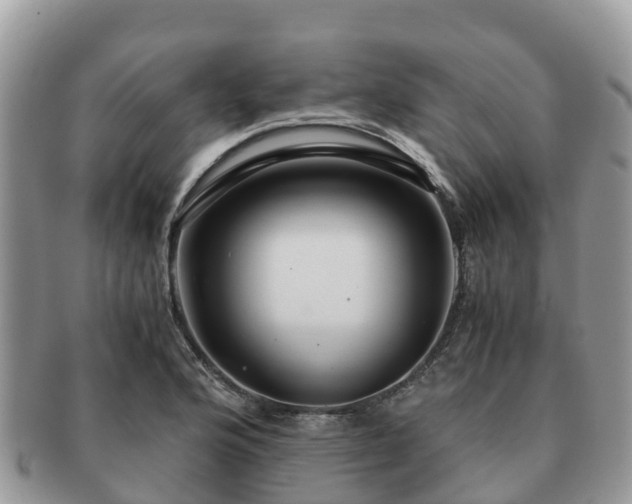 X0000091181176200708161512