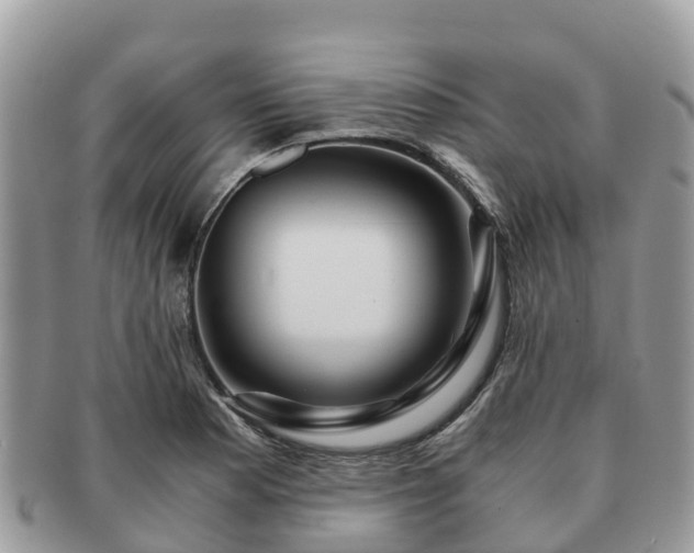 X0000091181177200708161512
