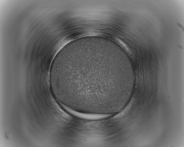 X0000091181178200708161512