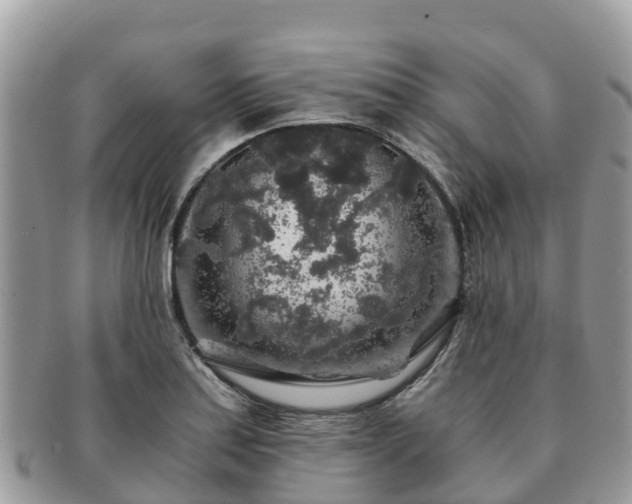 X0000091181179200708161512