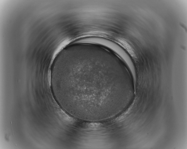X0000091181180200708161512