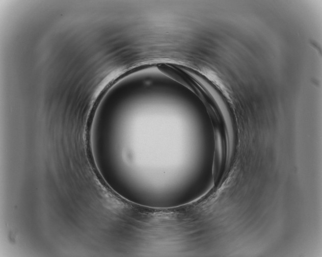 X0000091181181200708161512