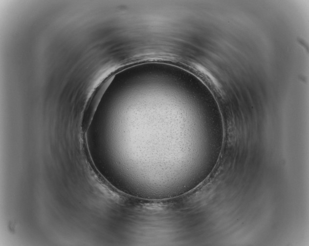 X0000091181182200708161512