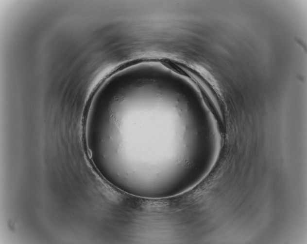 X0000091181183200708161512