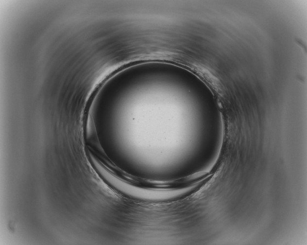 X0000091181184200708161512