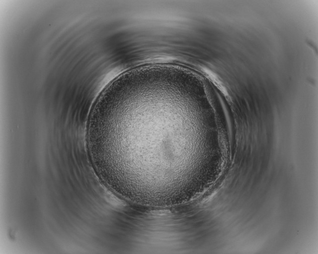X0000091181186200708161512