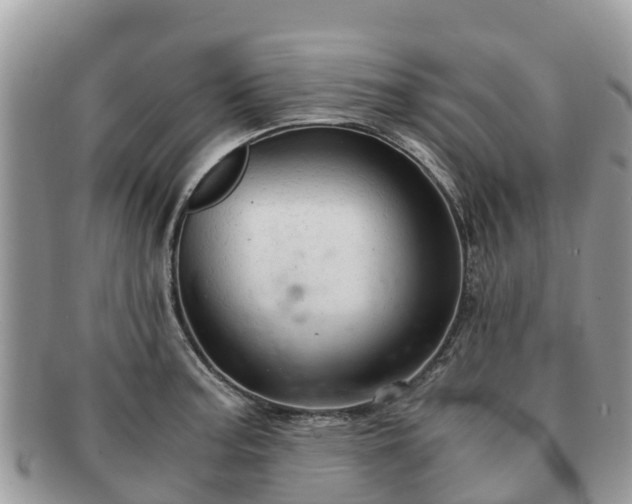 X0000091181187200708161512