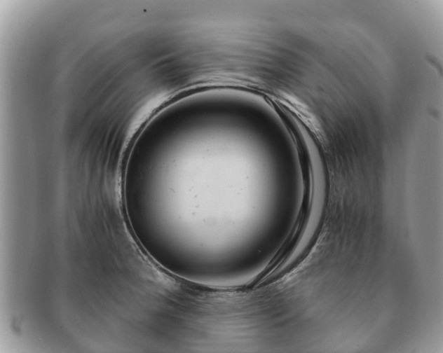 X0000091181188200708161512