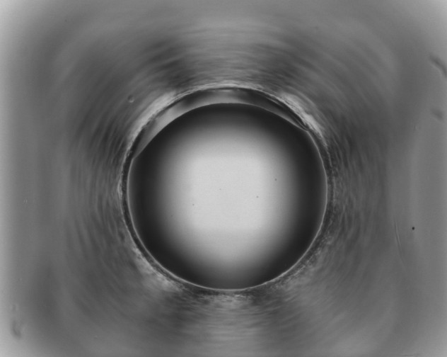 X0000091181189200708161512
