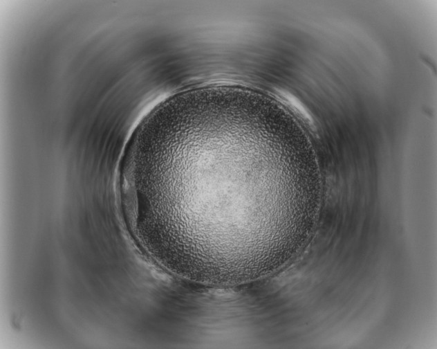 X0000091181190200708161512