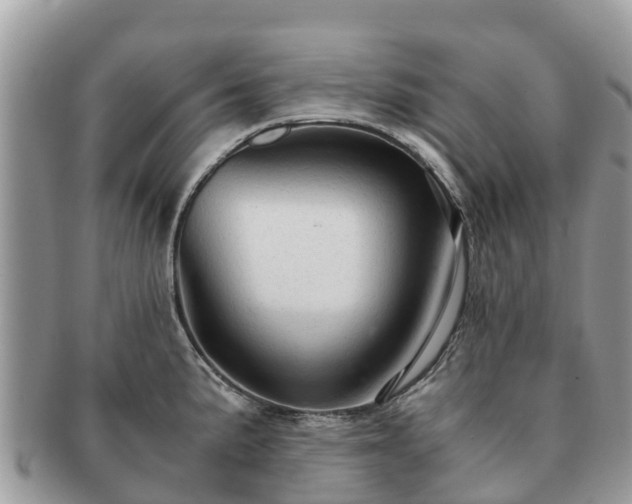 X0000091181191200708161512