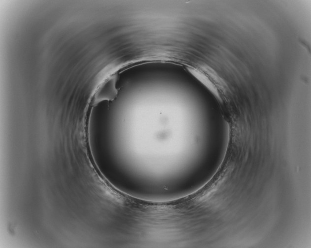 X0000091181192200708161512
