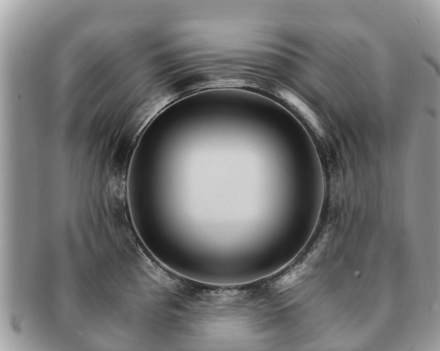 X0000091181193200708161512