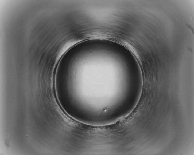 X0000091181195200708161512