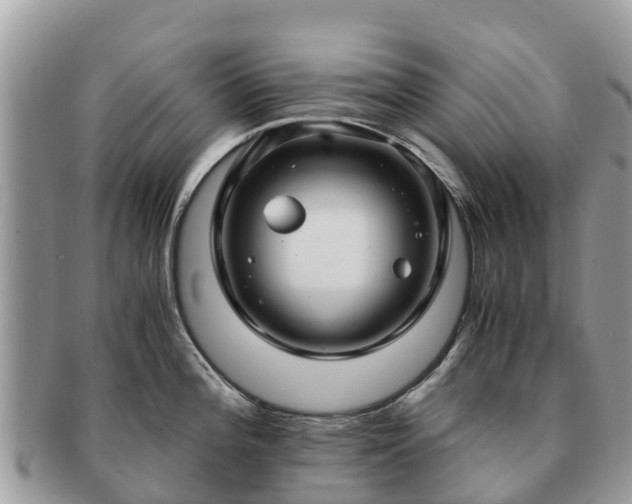 X0000091181196200708161512