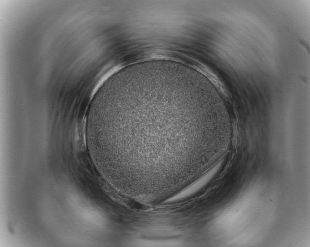 X0000091181198200708161512