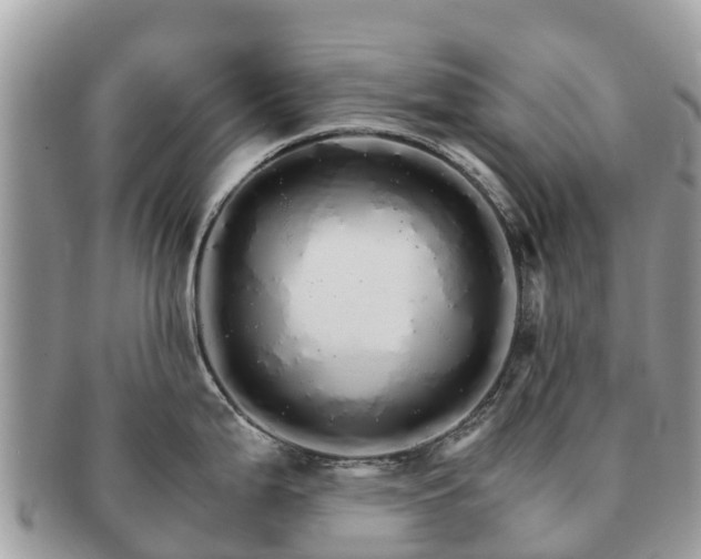 X0000091181199200708161512