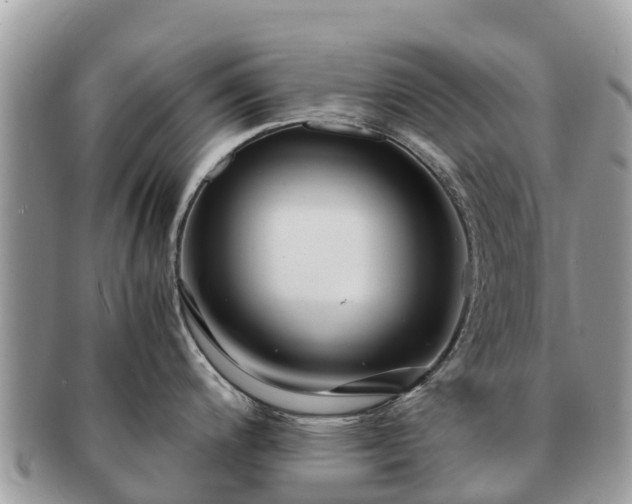 X0000091181200200708161512