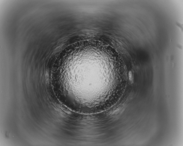X0000091181203200708161511